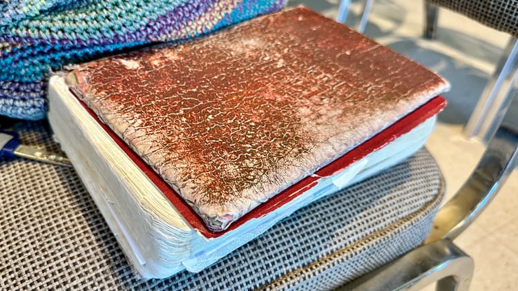 Beth Anne’s Bible