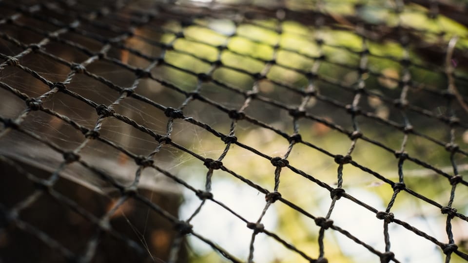 The Peter Principle (Luke 5:1-11)