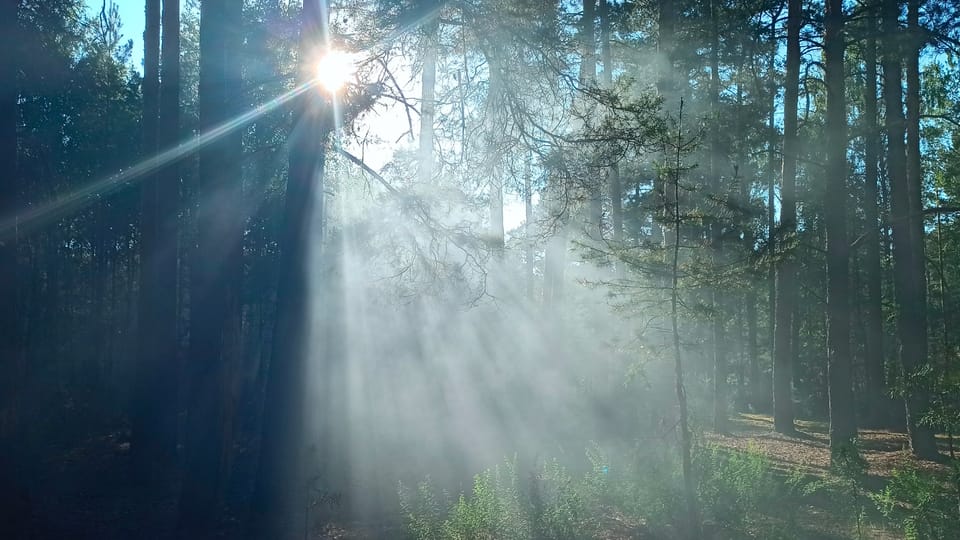 Cultivating Gratitude